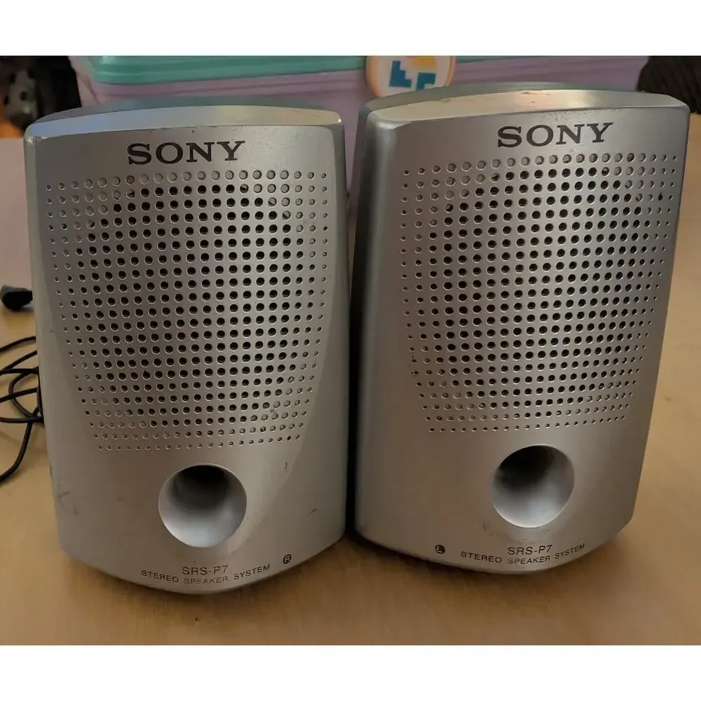 🎃Sony Passive Speakers